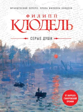 Филипп Клодель Серые души обложка книги