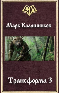 Марк Калашников Трансформа 3 обложка книги