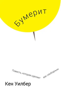 Кен Уилбер Бумерит обложка книги