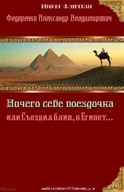 Александр Федоренко Ничего себе Поездочка или Съездил блин в Египет (СИ) обложка книги