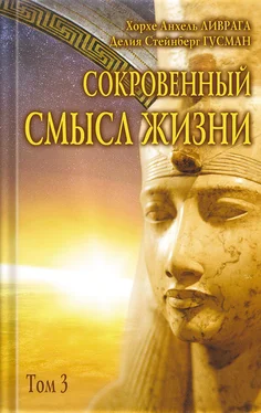 Хорхе Анхель Ливрага Сокровенный смысл жизни. Том 3 обложка книги