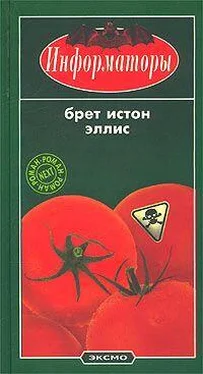 Брет Эллис Информаторы обложка книги