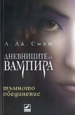 Л. Смит Тъмното обединение обложка книги