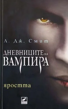 Л. Смит Яростта обложка книги