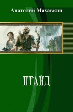 Анатолий Махавкин Прайд (СИ) обложка книги