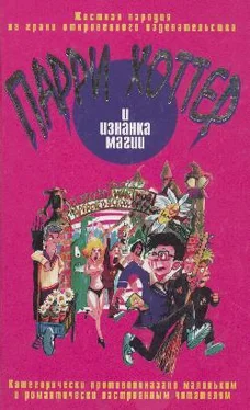 К. Эллис Парри Хоттер и изнанка магии обложка книги