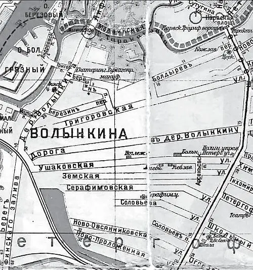 Волынкина деревня на карте Петрограда 1916 г Вот несколько характеристик - фото 26
