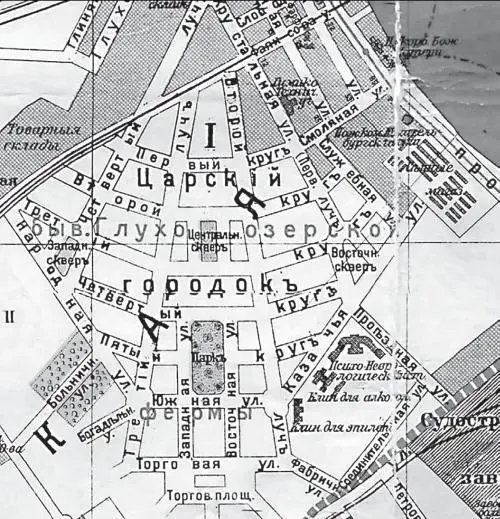 Будущий Царский городок на карте Петрограда 1916 г Будущий Царский - фото 291