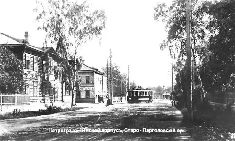 Облик СтароПарголовского проспекта ныне проспект Мориса Тореза Фото начала - фото 16