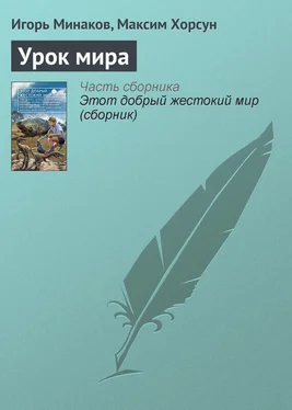 Игорь Минаков Урок мира обложка книги