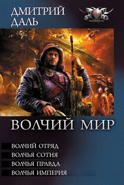 Дмитрий Даль Волчья Империя обложка книги