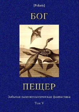 Михаил Первухин Зверь из бездны обложка книги