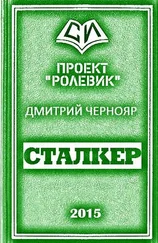 Дмитрий Чернояр - Сталкер