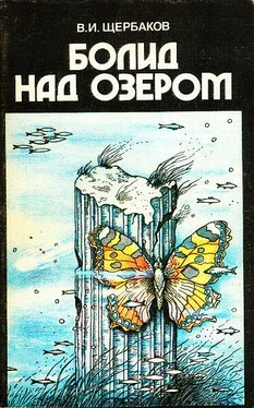 Владимир Щербаков Болид над озером обложка книги