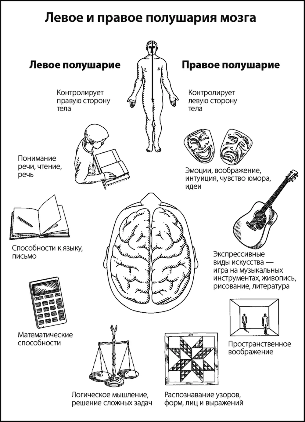 1 Ретикулярная активирующая система стимул исходит отсюда где регулируется - фото 1