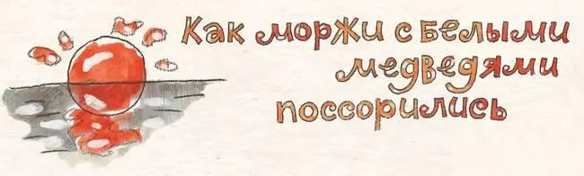Белые медведи живут на льдинах но очень любят купаться в море Потому что - фото 38