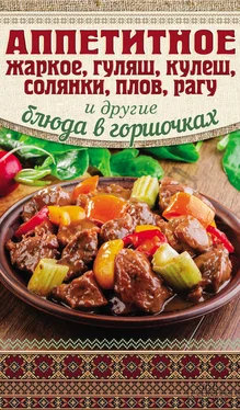 Арина Гагарина Аппетитное жаркое, гуляш, кулеш, солянки, плов, рагу и другие блюда в горшочках обложка книги