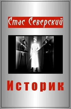 Стас Северский Историк обложка книги