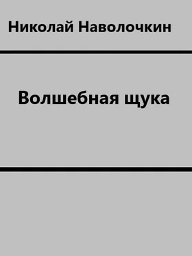 Николай Наволочкин Волшебная щука обложка книги