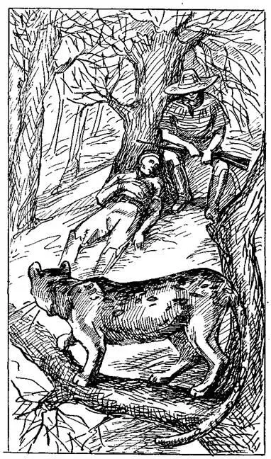 Кажется вы не можете считать их тысячами заметил охотник Я стал вашим - фото 8