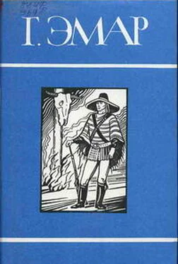 Густав Эмар Фланкер обложка книги