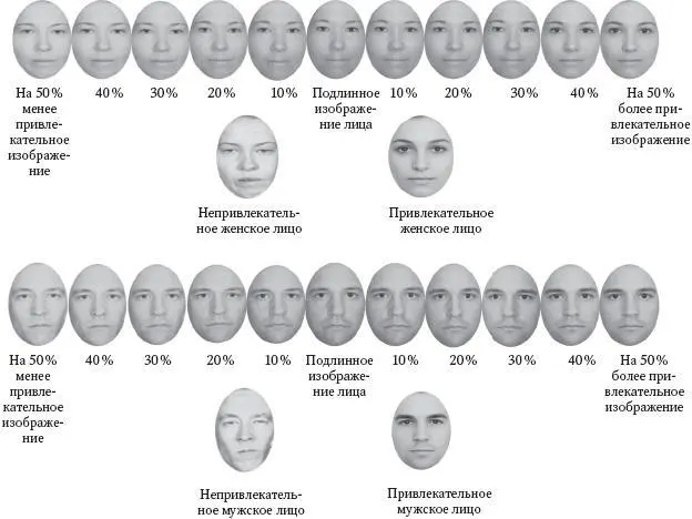 Люди говорят больше чем знают Если какаято часть работы мозга скрыта от - фото 6