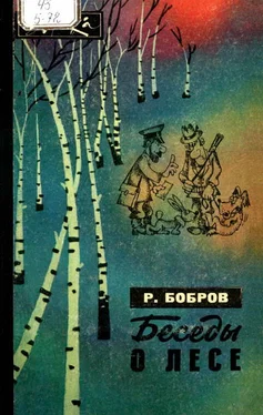 Рэм Бобров Беседы о лесе обложка книги