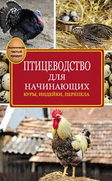 Эдуард Бондарев Птицеводство для начинающих обложка книги