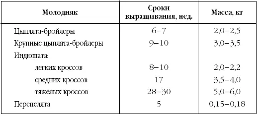 Ножные мышцы большей частью состоят из красных волокон Наиболее ценными в - фото 4
