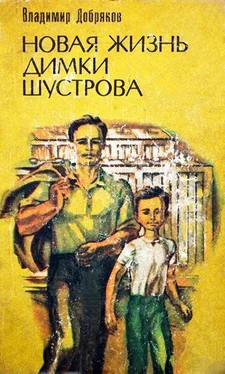 Владимир Добряков Новая жизнь Димки Шустрова обложка книги