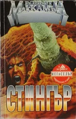 Робърт МакКамън - Стингър