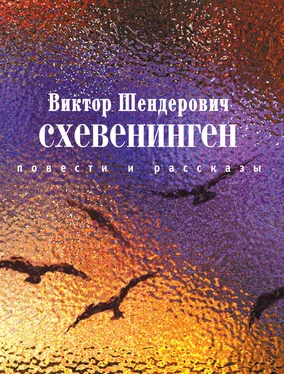 Виктор Шендерович Схевенинген (сборник) обложка книги