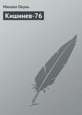 Михаил Окунь Кишинев-76 обложка книги