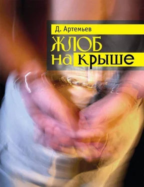 Дмитрий Артемьев Жлоб на крыше (сборник) обложка книги