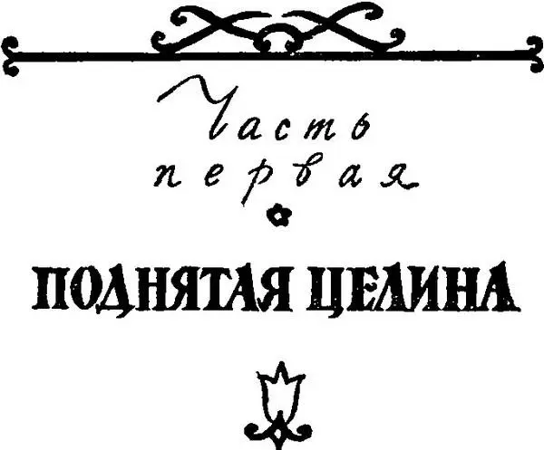 Глава первая Куак Ба Ви 1 Куак Ба Ви работал без отдыха семь дней И всю - фото 3
