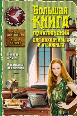 Илона Волынская Большая книга приключений для находчивых и отважных (сборник) обложка книги