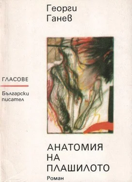 Георги Ганев Анатомия на плашилото обложка книги