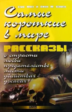 Джон М. Дэниель Самые короткие в мире рассказы обложка книги