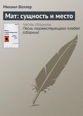 Михаил Веллер Мат: сущность и место обложка книги