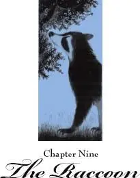 Hours passed Flory swung back and forth on the juniper twig and gazed at the - фото 30