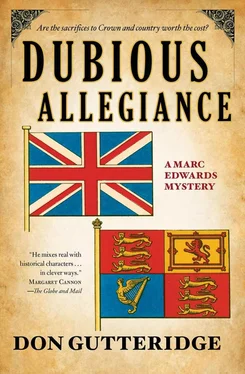 Don Gutteridge Dubious Allegiance обложка книги