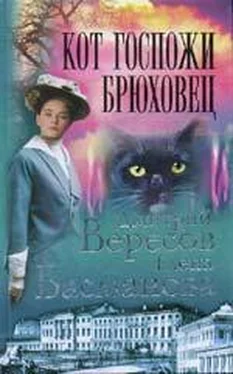 Елена Басманова Кот госпожи Брюховец обложка книги