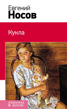 Евгений Носов Кукла (сборник) обложка книги