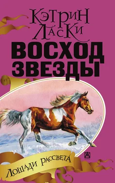 Кэтрин Ласки Восход звезды обложка книги