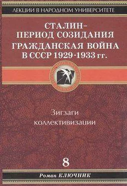 Роман Ключник Сталин - период созидания. Гражданская война в СССР 1929-1933 гг. Том 8. обложка книги