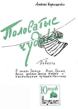 Алексей Коркищенко Полосатые чудаки обложка книги