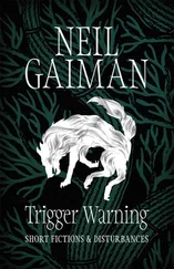 Neil Gaiman - Trigger Warning - Short Fictions and Disturbances
