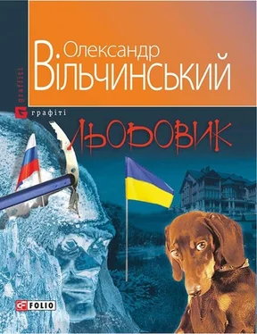 Олександр Вільчинський Льодовик обложка книги