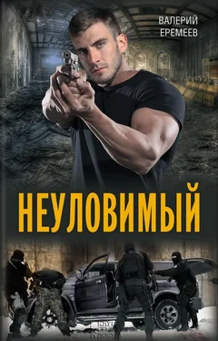 Валерий Еремеев Неуловимый обложка книги