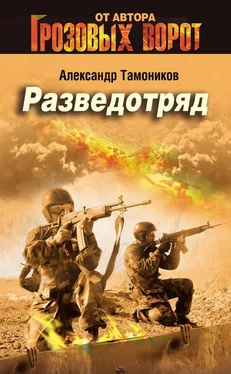 Александр Тамоников Разведотряд обложка книги